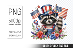 4th of July Raccoon Clipart, Animal illustration for crafts Product Image 1