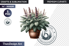 Medicinal Herbs clipart PNG, Apothecary Botanical Graphic Product Image 1