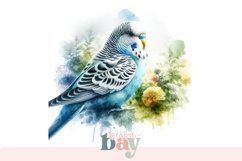 Watercolor Budgie Digital Art, Transparent PNG Product Image 1