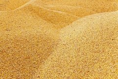 corn heap Product Image 1