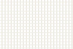 Ornamental seamless patterns. Product Image 6