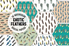 Exotic Feathers Seamless Patterns Watercolor Paper Birds Product Image 1