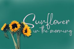 Danisya Modern Signature Product Image 5