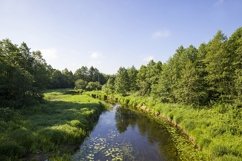 dirty water in a lake or river Product Image 1