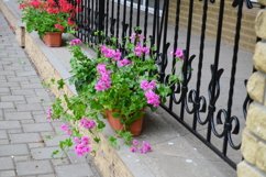 blooming flowers in the garden Product Image 1