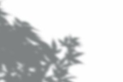 Leaves Shadow Overlay Effect Mockup Product Image 2