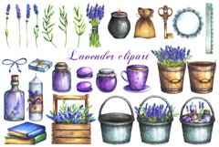 Watercolor lavender clipart Product Image 2