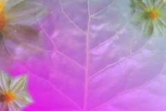 Background flower Nature 9 Product Image 1