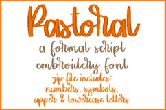 Pastoral Embroidery Font Product Image 1