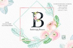 Buttercups. Ranunculus soft pink. Product Image 6