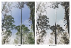 20 Moody Forest Lightroom Presets and LUTs Product Image 4