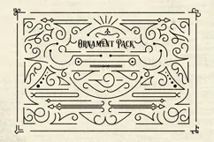 Sarcastic Typeface + Extras - Free Font of The Week Product Image 7