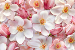 Yulan Magnolia Flowers Background Wallpaper Product Image 1