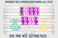 Pregnant Belly Boxed with Sayings SVG Cut File Bundle Product Image 1