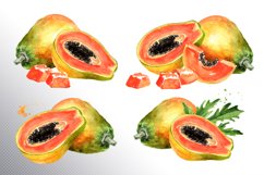 Papaya. Watercolor collection Product Image 4