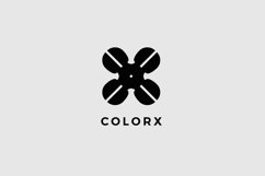 Color X Logo Template Product Image 4
