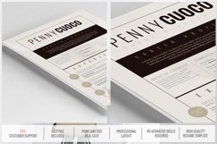 Resume Template Alcyone Product Image 5