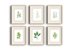 Watercolour wall art, Watercolour Herbs prints, Herbs poster Product Image 1