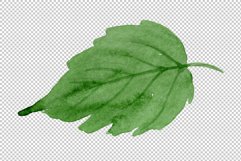 Fuchsia Watercolor png Product Image 2