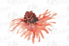 Faded orange and blush flowers and green leaves watercolor Product Image 7
