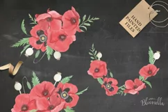 Poppy Flowers 6 Bouquets Watercolor Florals Poppies Red Product Image 3