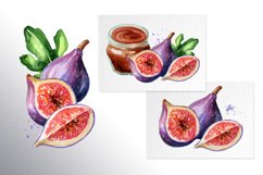 Fig fruit. Watercolor collection Product Image 5