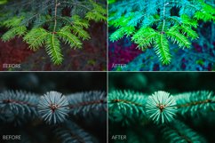 Fir Branches Lr Presets Product Image 3