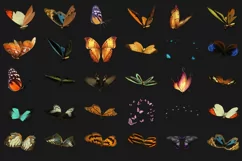 200 BUTTERFLIES TRANSPARENT PNG FILES, PHOTOSHOP OVERLAYS Product Image 8