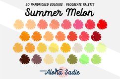 Summer Melon Procreate Colour Palette Swatch Product Image 1
