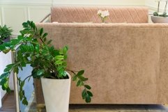 Flowers in a pot and a sofa in the interior of a restaurant Product Image 1