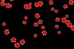 50 ROULETTE CHIPS TRANSPARENT PNG FILES, PHOTOSHOP OVERLAYS Product Image 7