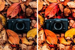 Fall Decor Mobile & Desktop Lightroom Presets Product Image 12