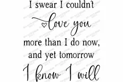 I Swear I Couldn't Love You More Yet Tomorrow I Know I Will Product Image 2