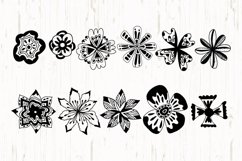 Hand Drawn Element Petals and Leaves Product Image 3