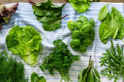 Different types of fresh herbs Product Image 1