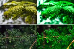 Fir Branches Lr Presets Product Image 2