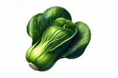 Bok Choy Fresh Vegetable Transparent background Product Image 2