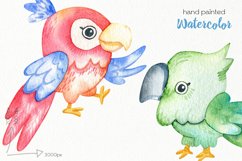 Watercolor Parrot Clipart - PNG Files Product Image 3