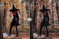 Halloween Lightroom Presets Product Image 10