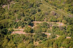 Mountain Road and Tourists Cars in Sequoia National Park Product Image 1