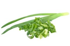 Stock Photo - Green onion isolated Product Image 1