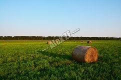 Autumn Scene bale of straws Product Image 1