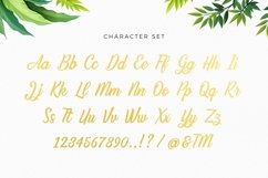 Web Font Always Yours Product Image 3