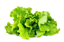 Lettuce leaves isolated on white background Product Image 1
