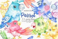 Watercolor Parrot Clipart - PNG Files Product Image 1