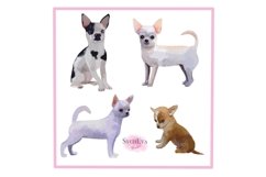 Watercolor Chihuahua Png clipart Product Image 3
