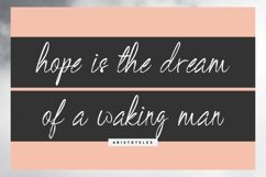 Web Font BlackSilver Brush Font Product Image 11