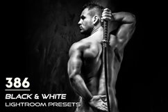 386 Black &amp; White Lightroom Presets Product Image 1