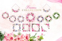 Pink Hibiscus Watercolor png Product Image 8