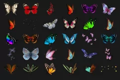 200 BUTTERFLIES TRANSPARENT PNG FILES, PHOTOSHOP OVERLAYS Product Image 7